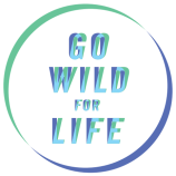 Всемирный день окружающей среды 2016 года: Давайте станем «Wild For Life» 