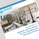 Photo: UNODC