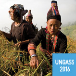 Le développement alternatif a été l'une des thématiques majeures à l'UNGASS 2016.