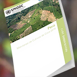 Estudio de UNODC: El cultivo de coca se incrementa en Perú, pero aún con la tasa más baja en la Región Andina