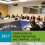 Борьба с наркотрафиком, организованной преступностью и терроризмом в аэропортах - одна из главных тем для дискуссии во время Комиссии по предупреждению преступности и уголовному правосудию Фото: УНП ООН
