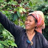 UNODC-supported Coffee Growers in Myanmar Receive a Fair Deal