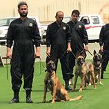 Drug-sniffing dogs from UNODC-supported programme in Iran seize more than 200 kg of heroin