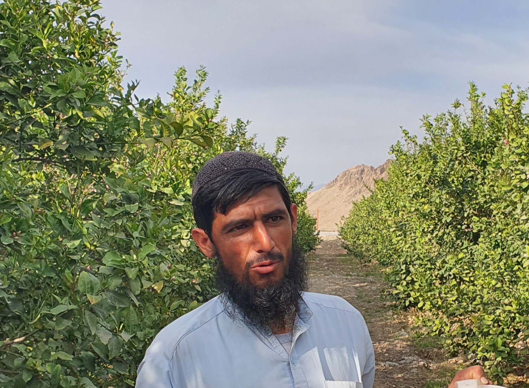 /coafg/uploads/res/16-04-2023_-drip-irrigation-system-increases-citrus-production-in-nangarhar_html/20230314_160038.jpg