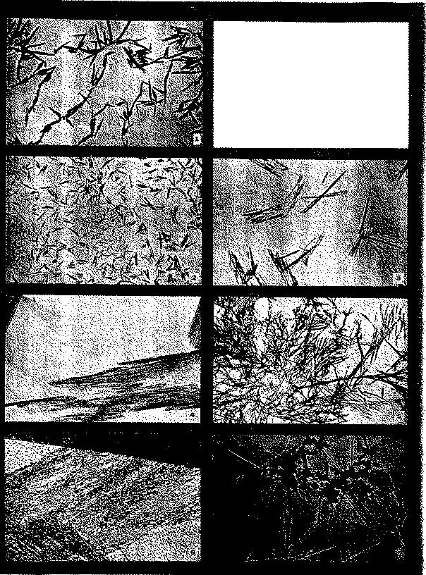 Full size image: 532 kB