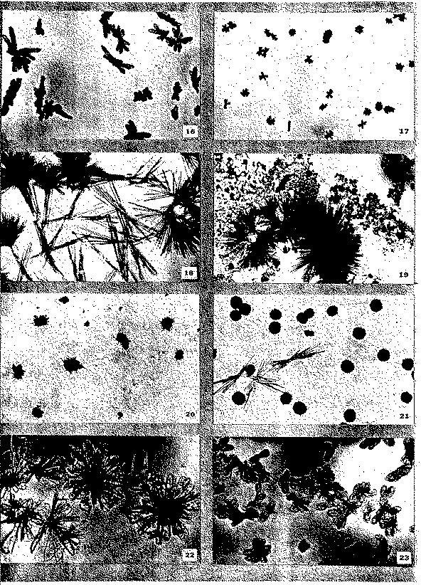 Full size image: 519 kB