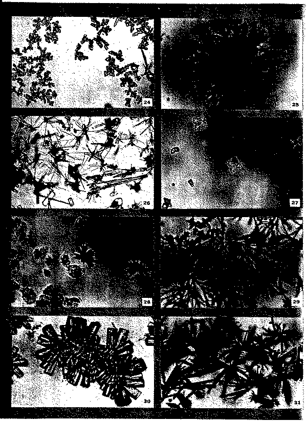 Full size image: 387 kB