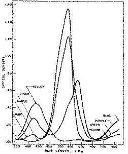 Full size image: 24 kB, FIGURE I - Absorption spectra of methyl violet (6B) in glacial acetic acid at various acidity levels