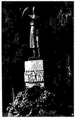Full size image: 42 kB, FIGURE 1 Statue of János Kabay at Tiszavasvári