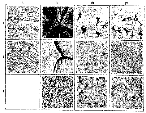 Full size image: 189 kB