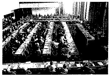 Full size image: 72 kB, Third special session of the Commission on Narcotic Drugs. 57