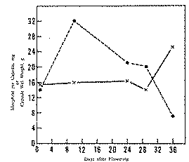 Full size image: 20 kB, FIGURE 2 Plot of morphine content and wet weight of terminal capsule with time