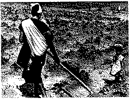 Full size image: 110 kB, A woman with her children working in the potato field