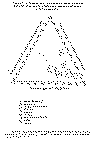 Full size image: 72 kB, Figure III. Triangular plot: separation of opium samples of different geographical origins using alkaloid percentage or percentage ratios