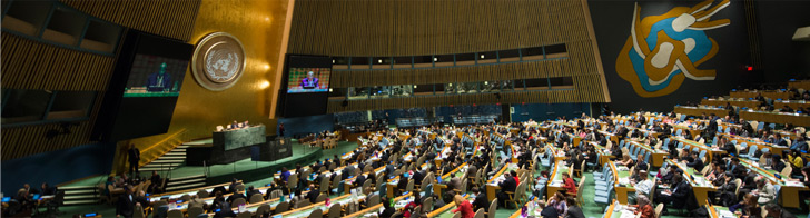 United Nations General Assembly. Photo: United Nations Photo/Amanda Voisard.