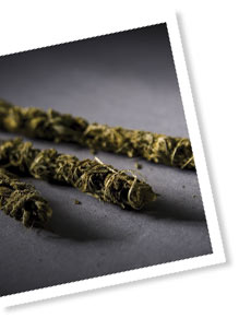 Photo: Ioulia Kondratovitch