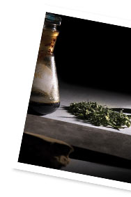 Photo: Ioulia Kondratovitch