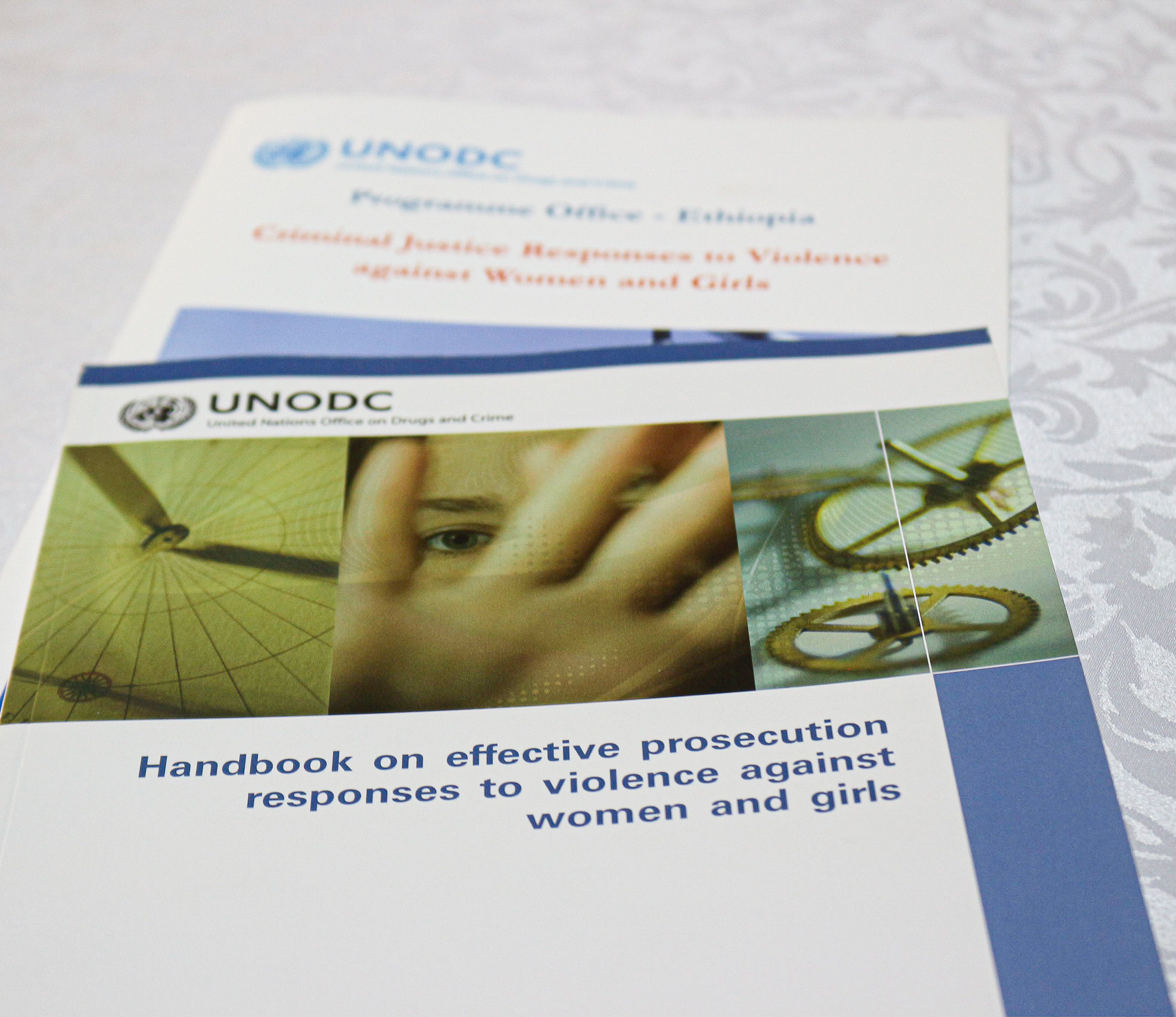 Handbook for prosecutors on responses to VAWG