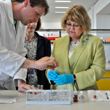 Photo: Honourable Diane Ablonczy, Canadian Minister of State of Foreign Affairs (right) visits the UNODC Laboratory in Vienna