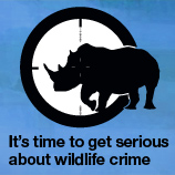 World Wildlife Day 2015