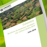 2015 Colombia Coca Survey is launched on 8 July 2016. Photo: UNODC