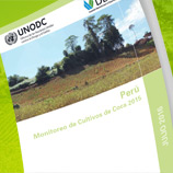 El Informe de Monitoreo de Coca en Perú fue presentado en Lima por UNODC y el gobierno del país. Foto: UNODC