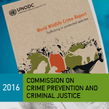 L'ONUDC lance son inaugural World Wildlife Crime Report lors de la Commission du Crime 2016. Photo : ONUDC