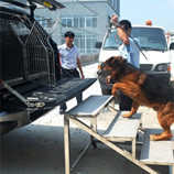 L'ONUDC et La Force Frontalière australienne travaillent en collaboration avec le Vietnam dans l'établissement d'un programme de chiens détecteurs d'espèces dans le but de combattre le blanchiment d'argent. Photo: ONUDC