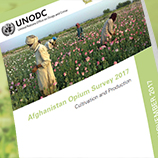 Afghan opium production jumps to record level, up 87 per cent: Survey. Image: UNODC