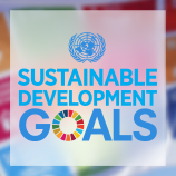 Восточная Африка: УНП ООН усиливает реализацию Целей Устойчивого Развития путем проведения тренингов Фото: УНП ООН