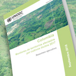 Informe de UNODC reporta alza histórica en los cultivos de coca en Colombia; Foto: UNODC