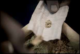 Photo: Alessandro Scotti