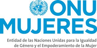 UN Women Brazil and Southern Cone begins national consultations on
