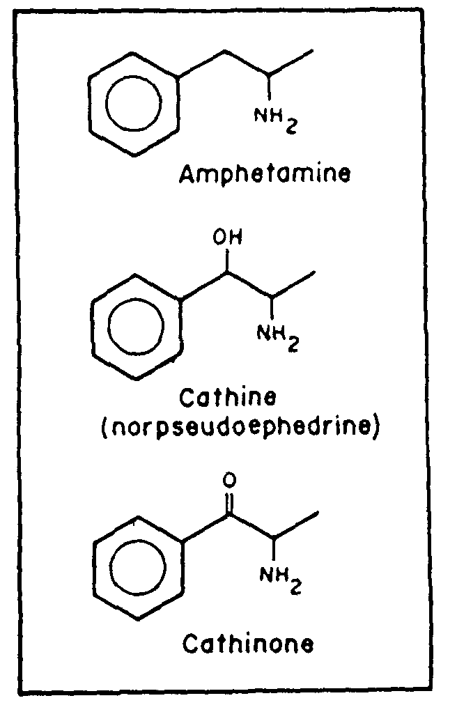Amphetamine Herstellung Anleitung