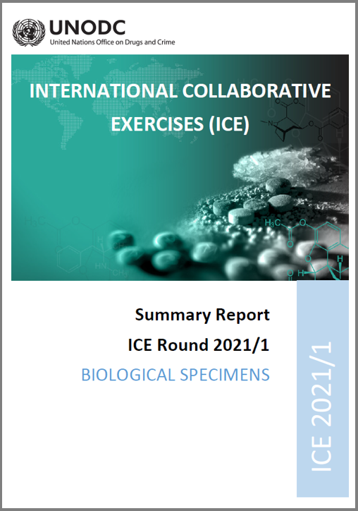 ICE_Summary_Report_BS-_2021-round1"