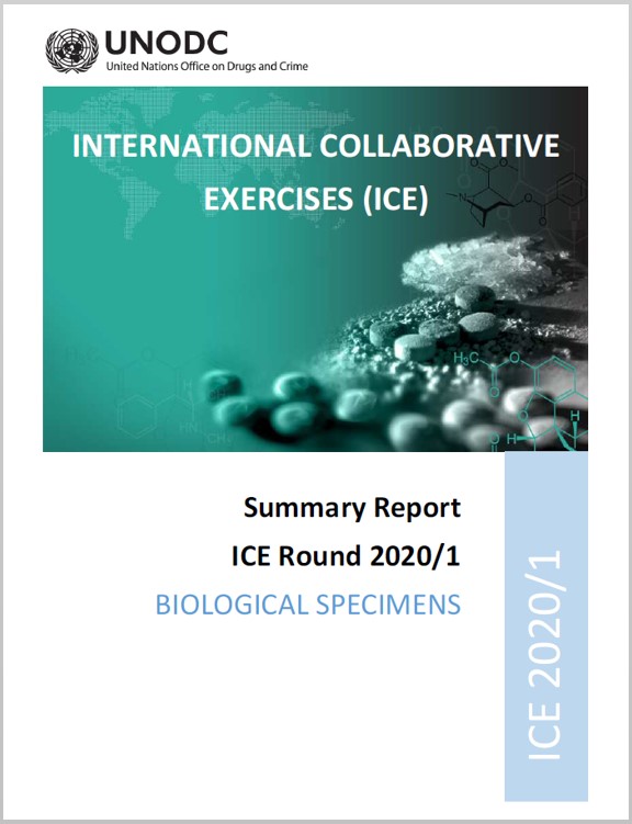  ICE_summary_report_BS_2020-1