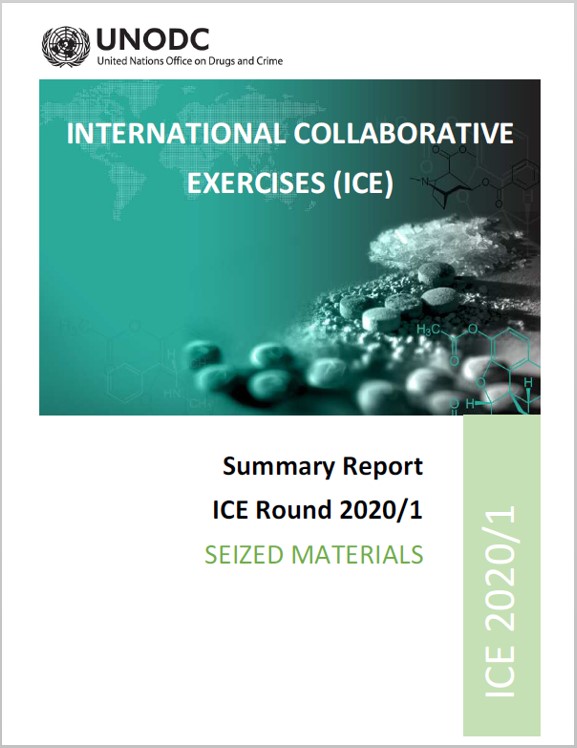  ICE_summary_report_SM_2020-1