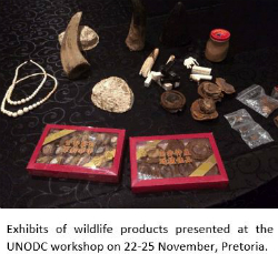 Exhibits of wildlife products presented at the UNODC workshop on 22-25 November, Pretoria. Image: UNODC