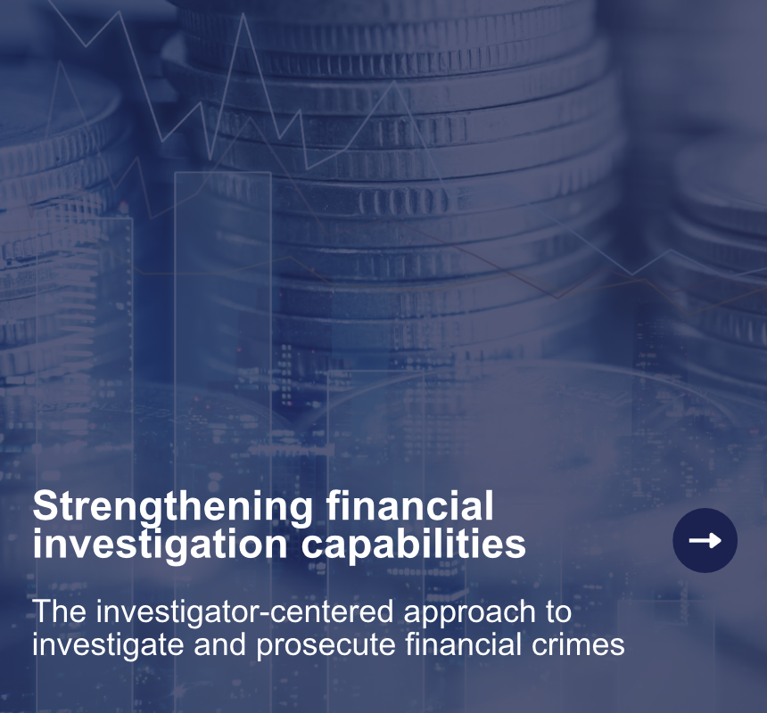 Webstory: Strengthening financial investigation capabilities