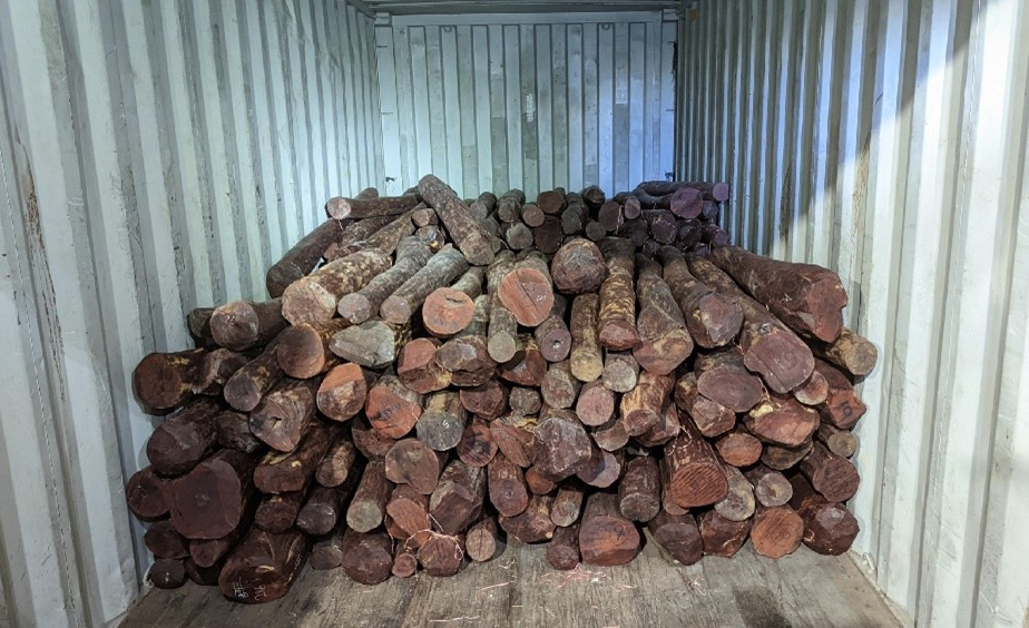 <em>On 5 September 2022, Hong Kong Customs seized ca. 6,500 kgs of suspected scheduled red sandalwood with an estimated market value of $4.1 million at Kwai Chung Container Terminals.</em>