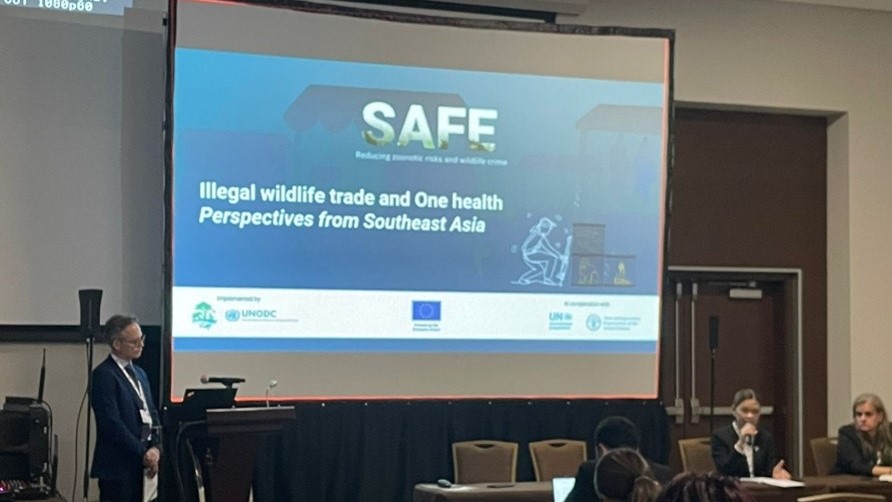 <ul>
<li><a href="https://www.unodc.org/unodc/en/environment-climate/webstories/safe-cites-cop19.html">CITES COP19: UNODC highlights perspectives from Southeast Asia on illegal trade and One Health</a></li>
</ul>