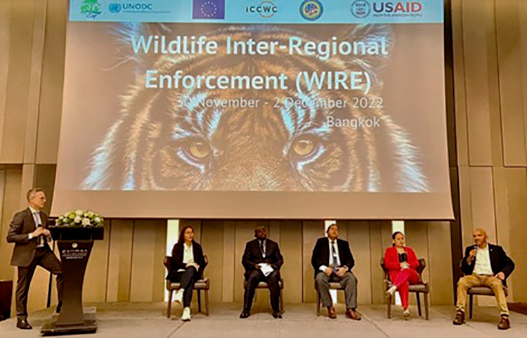 <p><em><br />A panel of experts from Singapore, Democratic Republic of the Congo, Ecuador, Philippines and Namibia discuss international cooperation to investigate and prosecute illicit wildlife trade</em></p>