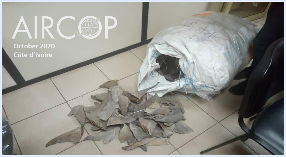 In October, 350 kg of shark fins were seized at the airport of Abidjan (Côte d’Ivoire) during a mixed inter-agency operation.
