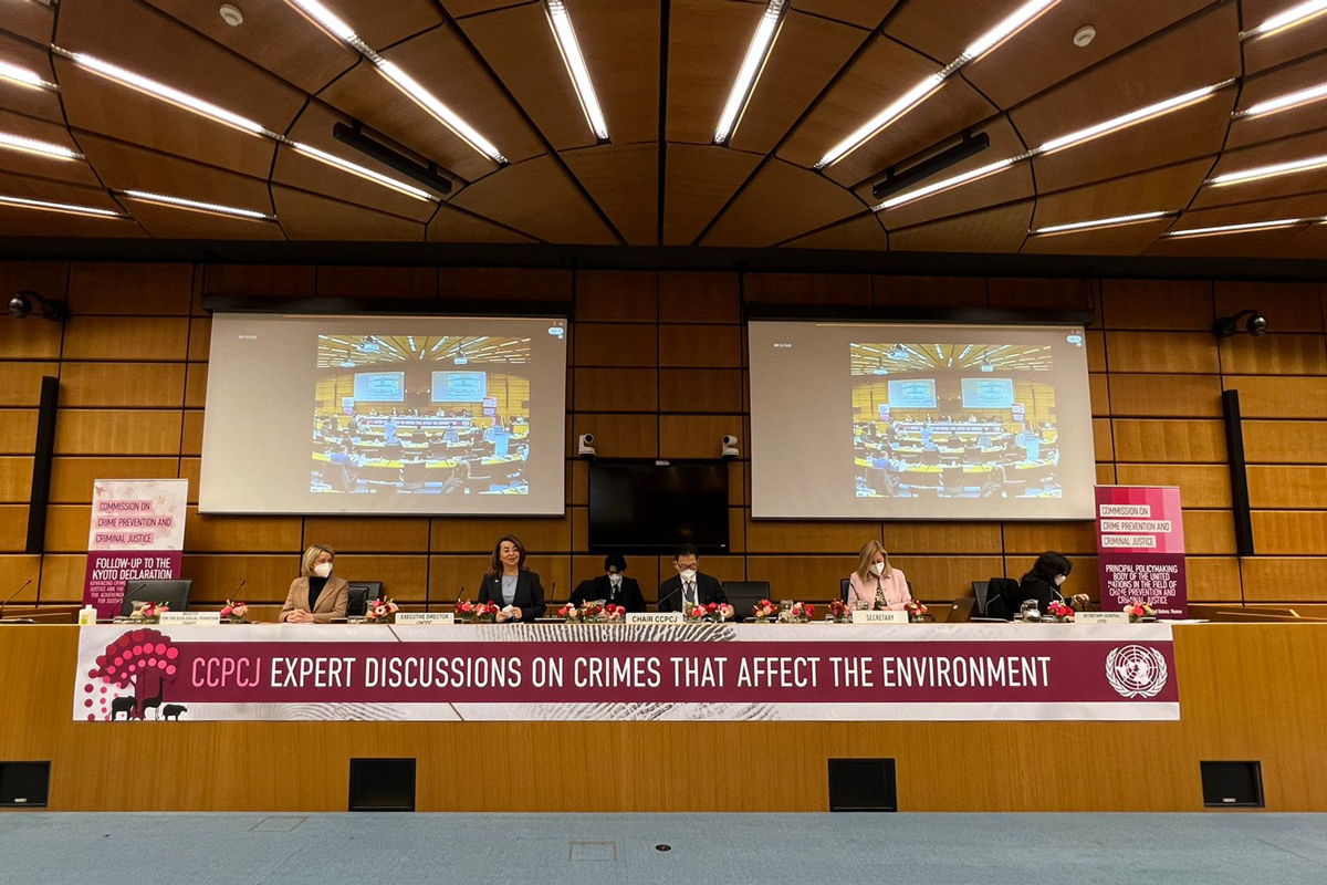 Crime Commission: International experts joining forces against crimes that affect the environment