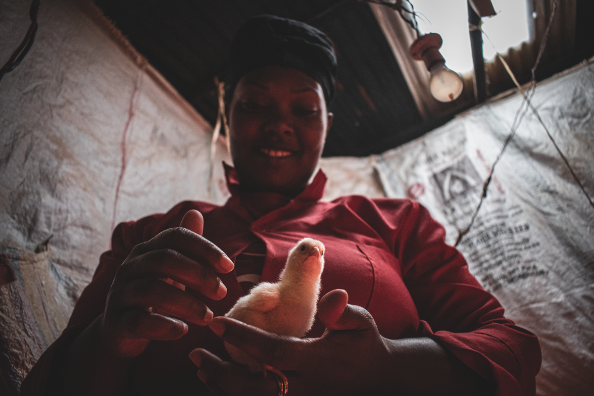 Figure 4 - Sarah holds a chick at her farm on the outskirts of Nairobi.