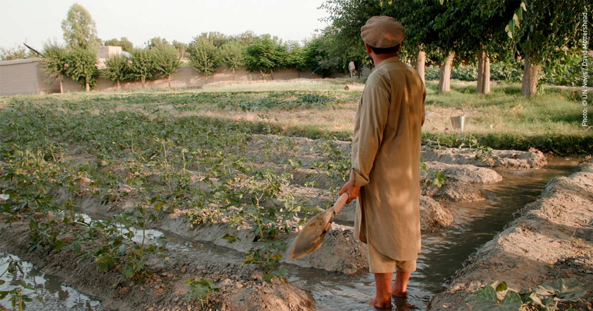 A former poppy farmer irrigating his vegetable farm in Surkhrud district, Nangarhar Province, Afghanistan.