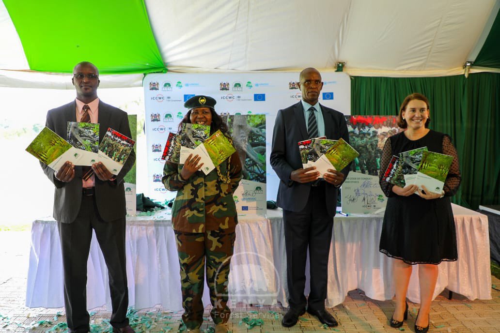 Support to Kenya Forest Service in the development of new policy documents to prevent and address corruption
