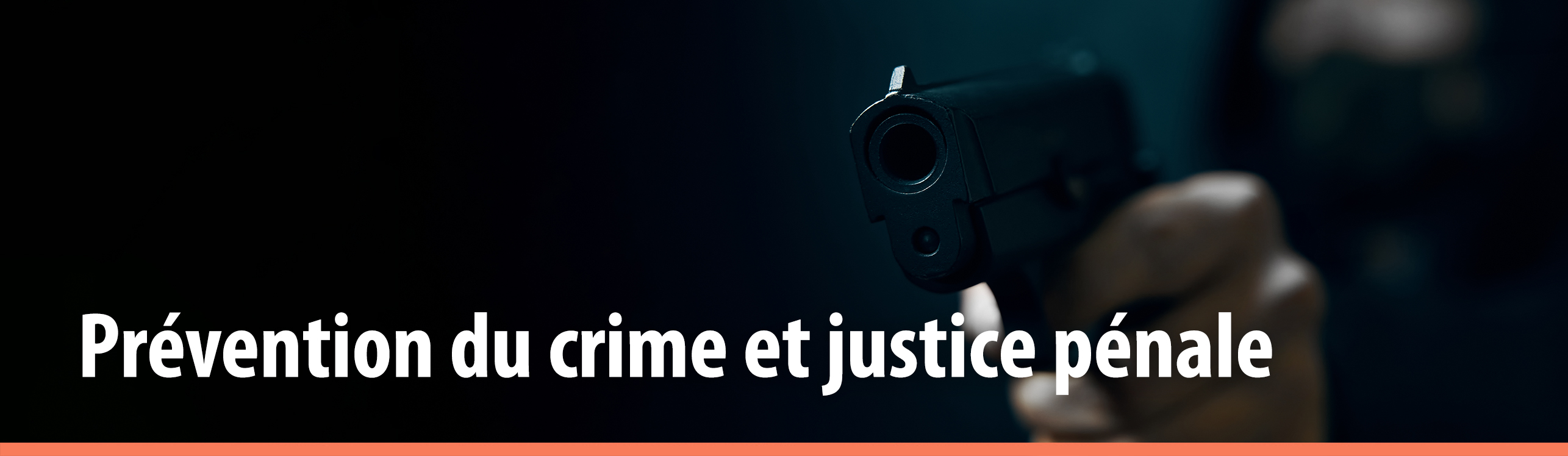 Crime prevention and criminal justice