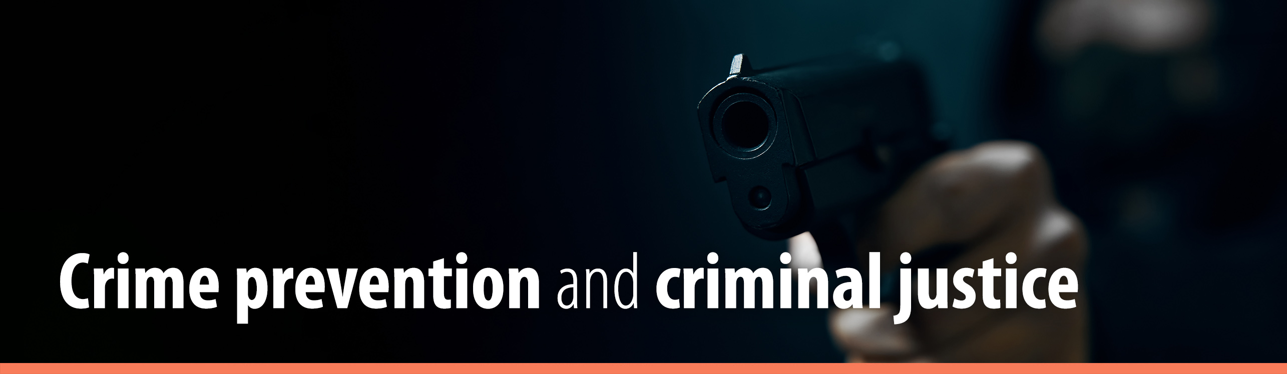 Crime prevention and criminal justice
